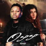 Amapiano Music - Caltonic SA, Soma Ziwa & Volt RSA - Ozozo