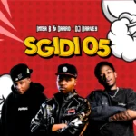 Amapiano Music - Inter B & Draad & DJ Harvey - Sgidi 05