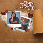 Amapiano Music - Jinger Stone, De Mthuda & Murumba Pitch - Wa Pelo