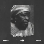 Amapiano Music - Dzo 729 - Mapule (Album)