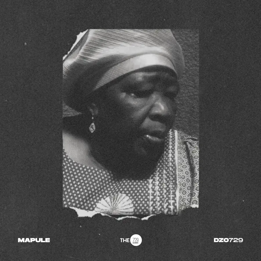 Amapiano Music - Dzo 729 - Mapule (Album)