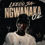 Amapiano Music - Leeco sa - Ngwanaka 0.2