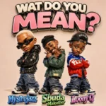Amapiano Music - MystroJazz, Sbuda Maleather & Loony Q - What do you mean