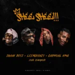 Amapiano Music - SWAAK BOYZ, Leemckrazy & Carnival King - SHEE SHEE!!! (feat. Slungesh)