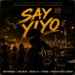 Amapiano Music - StaR Nswempu, Akay MuziQ, Sthipla rsa, Katflowz - Say Yiyo (feat. Mshana Ka Mata & Macala)