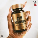 Amapiano Music - Don Edward, Jay Music & Ez Maestro - Ash Wagandha