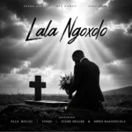 Amapiano Music - Shino Kikai, TEE Ramzy, Sino Msolo - Lala Ngoxolo (feat. Sykes, Starr Healer, Pale Moloi & Sipho Magudulela)