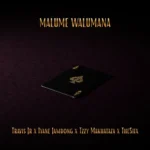 Amapiano Music - Travis Jr, Iyane Jamdong, Tzzy Makhathaza & thesiix - Malume Walumana