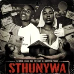Amapiano Music - DJ Obza, Nxani Rsa, 1st lady k & Greffen Punkk - Sthunywa