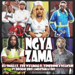 Amapiano Music - DJ Smallz, Zee Nxumalo & ZinedinexSguche - Ngyazama (feat. Brodie.Bro & Mdeshkayro)