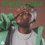 Amapiano Music - JL SA, Noex & COON SA - UNGENZA NJANI