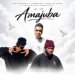 Amapiano Music - Pudi Ya Straata, Cardinal X25 & Mfan.ak Thupa - Amajuba (feat. Grootman Maleles & German twins)