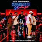 Amapiano Music - Springle - Kumnandi Ukphuza (feat. DJ Cakes, Daddy Stifler, Kandybeats & Hlonivic)