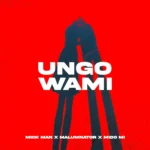 Amapiano Music - Mick Man, Malumnator & Mido Mi - Ungowami