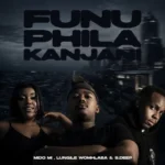 Amapiano Music - Mido Mi, Lungile Womhlaba & S.Deep.wav - Funu Phila Kanjani